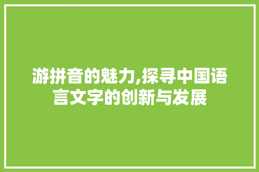 游拼音的魅力,探寻中国语言文字的创新与发展