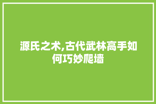 源氏之术,古代武林高手如何巧妙爬墙