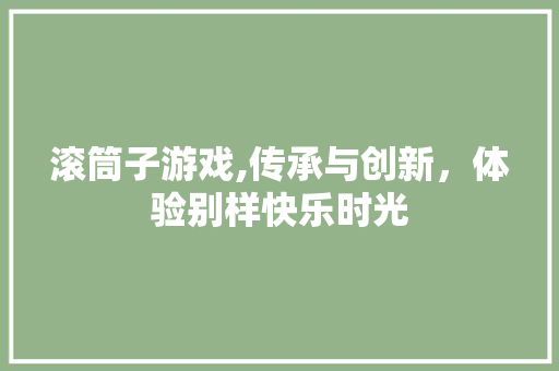 滚筒子游戏,传承与创新，体验别样快乐时光 Web前端