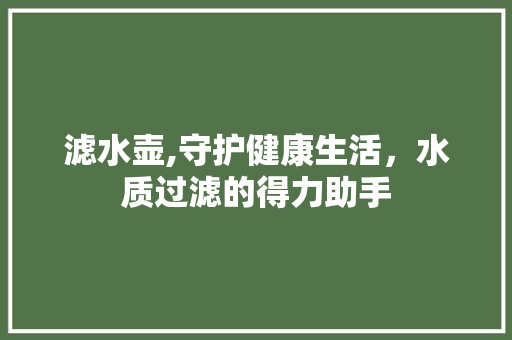 滤水壶,守护健康生活，水质过滤的得力助手