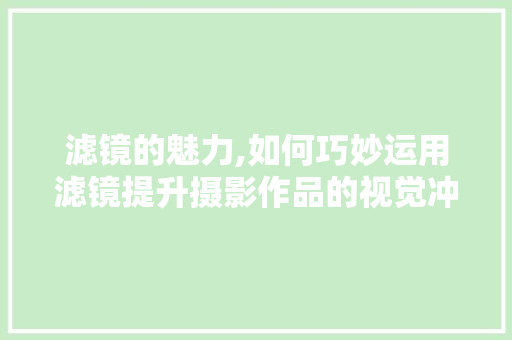 滤镜的魅力,如何巧妙运用滤镜提升摄影作品的视觉冲击力