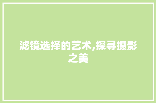 滤镜选择的艺术,探寻摄影之美