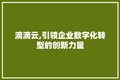 滴滴云,引领企业数字化转型的创新力量