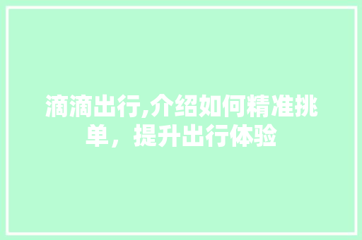 滴滴出行,介绍如何精准挑单，提升出行体验