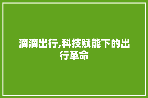 滴滴出行,科技赋能下的出行革命