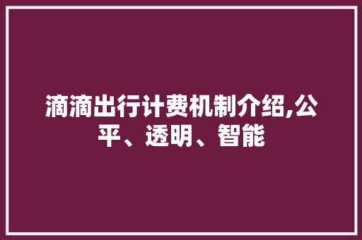 滴滴出行计费机制介绍,公平、透明、智能