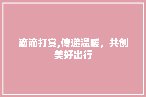 滴滴打赏,传递温暖，共创美好出行