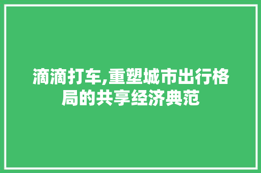 滴滴打车,重塑城市出行格局的共享经济典范