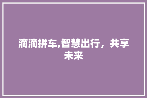 滴滴拼车,智慧出行，共享未来