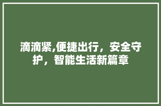 滴滴紧,便捷出行，安全守护，智能生活新篇章