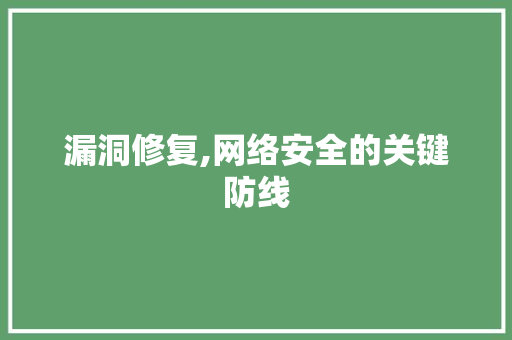 漏洞修复,网络安全的关键防线