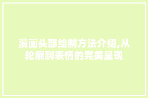 漫画头部绘制方法介绍,从轮廓到表情的完美呈现