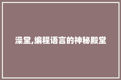 澡堂,编程语言的神秘殿堂