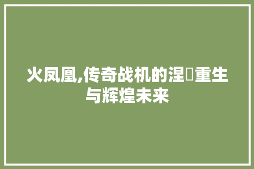 火凤凰,传奇战机的涅槃重生与辉煌未来 WordPress教程