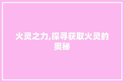 火灵之力,探寻获取火灵的奥秘 Web前端