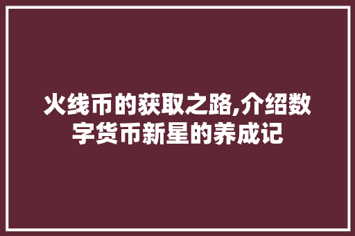 火线币的获取之路,介绍数字货币新星的养成记 SEO教程
