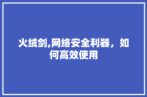 火绒剑,网络安全利器，如何高效使用 SEO教程