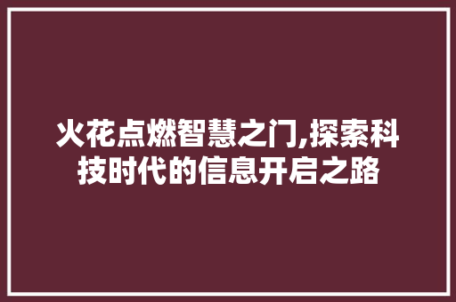 火花点燃智慧之门,探索科技时代的信息开启之路 服务器/数据库