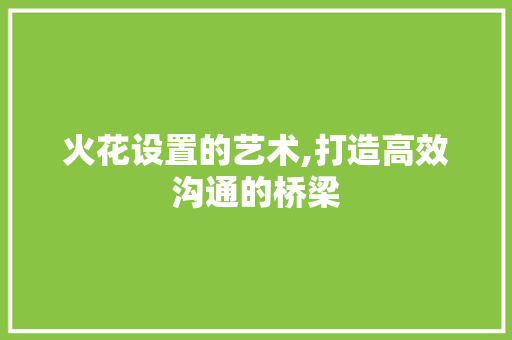 火花设置的艺术,打造高效沟通的桥梁 WordPress教程