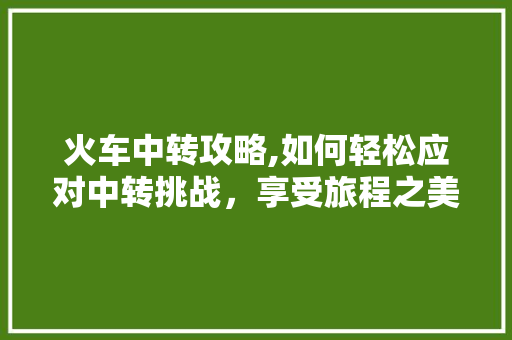 火车中转攻略,如何轻松应对中转挑战，享受旅程之美