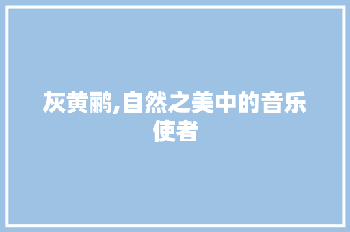 灰黄鹂,自然之美中的音乐使者