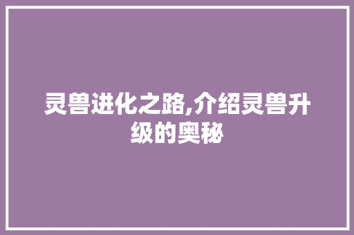 灵兽进化之路,介绍灵兽升级的奥秘