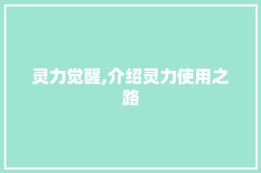灵力觉醒,介绍灵力使用之路