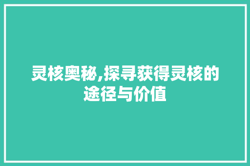 灵核奥秘,探寻获得灵核的途径与价值