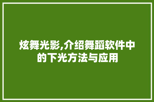炫舞光影,介绍舞蹈软件中的下光方法与应用