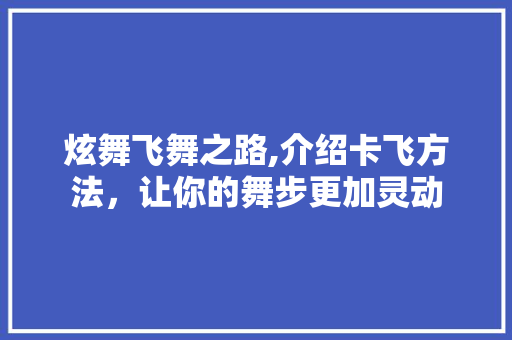炫舞飞舞之路,介绍卡飞方法，让你的舞步更加灵动