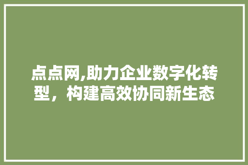 点点网,助力企业数字化转型，构建高效协同新生态 友链在线