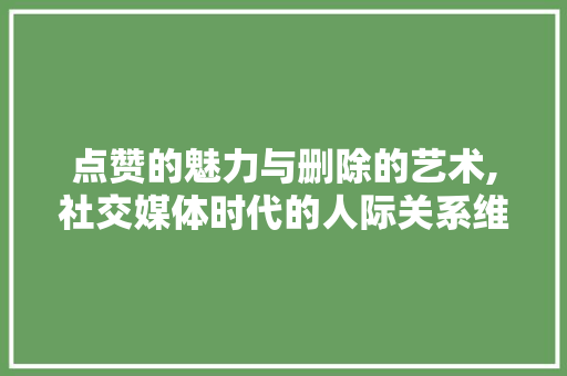 点赞的魅力与删除的艺术,社交媒体时代的人际关系维护