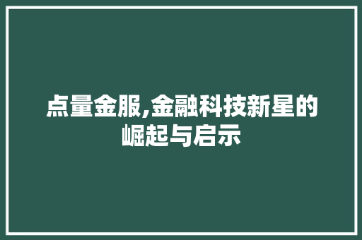 点量金服,金融科技新星的崛起与启示