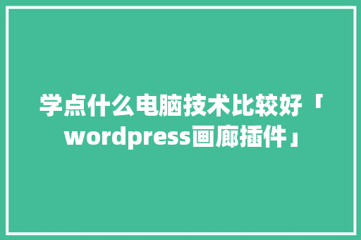 学点什么电脑技术比较好「wordpress画廊插件」 学点什么电脑技术比较好「wordpress画廊插件」 Web前端