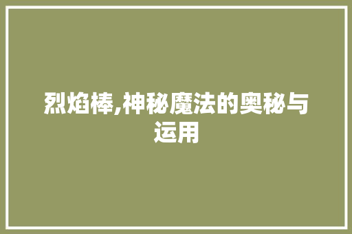烈焰棒,神秘魔法的奥秘与运用