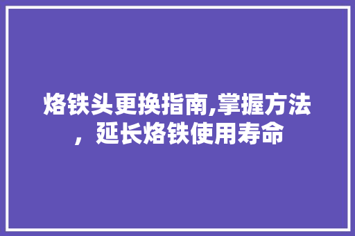 烙铁头更换指南,掌握方法，延长烙铁使用寿命