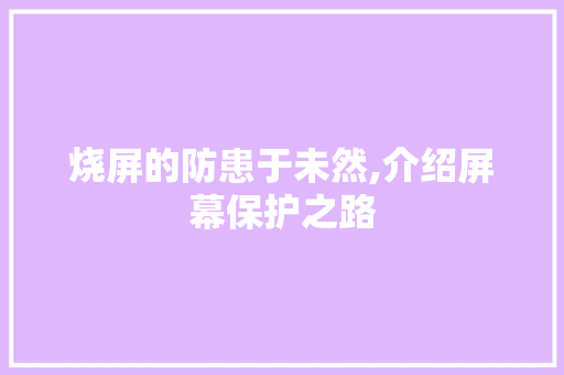 烧屏的防患于未然,介绍屏幕保护之路