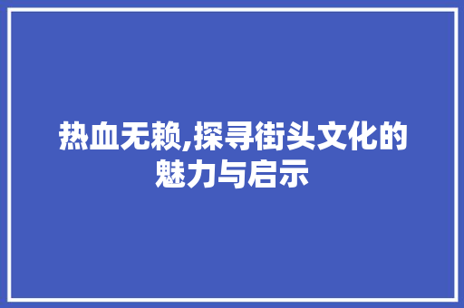 热血无赖,探寻街头文化的魅力与启示
