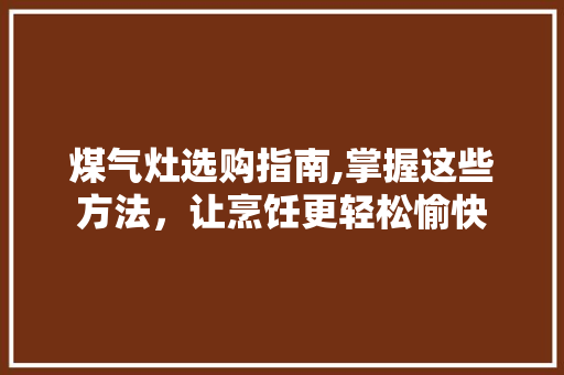 煤气灶选购指南,掌握这些方法，让烹饪更轻松愉快 建站教程