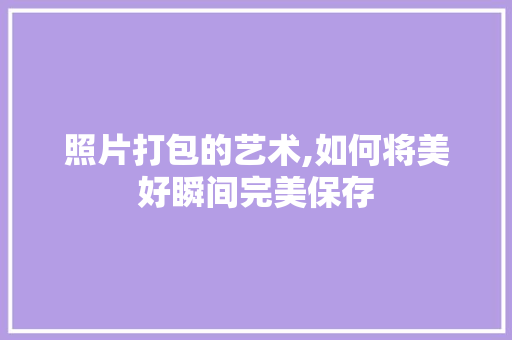 照片打包的艺术,如何将美好瞬间完美保存 友链在线