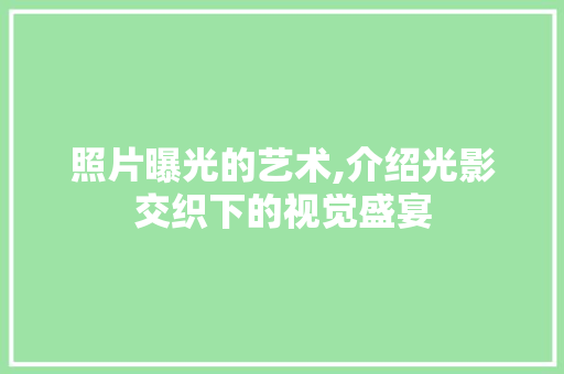 照片曝光的艺术,介绍光影交织下的视觉盛宴