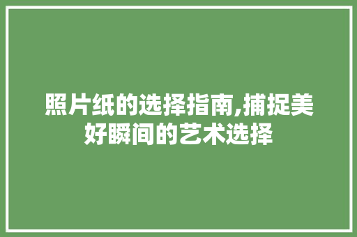 照片纸的选择指南,捕捉美好瞬间的艺术选择 建站教程