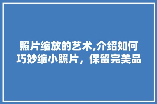 照片缩放的艺术,介绍如何巧妙缩小照片，保留完美品质