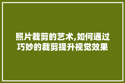 照片裁剪的艺术,如何通过巧妙的裁剪提升视觉效果