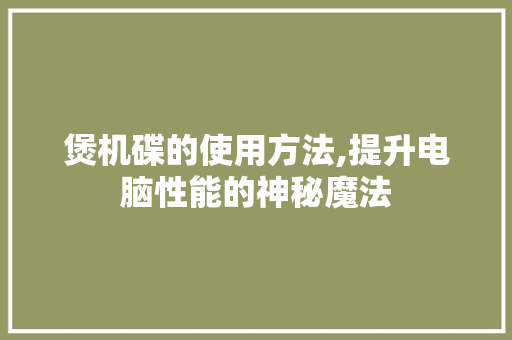 煲机碟的使用方法,提升电脑性能的神秘魔法 Web前端