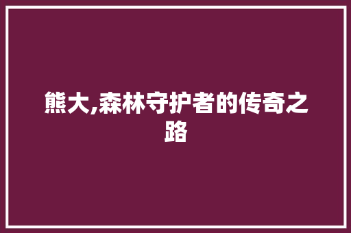 熊大,森林守护者的传奇之路 友链在线