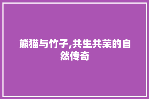 熊猫与竹子,共生共荣的自然传奇 建站教程