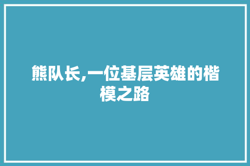 熊队长,一位基层英雄的楷模之路 Web前端