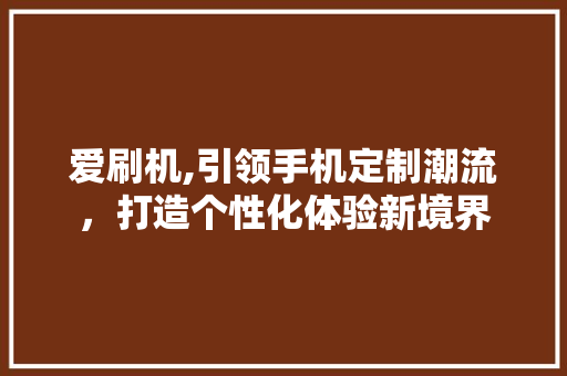 爱刷机,引领手机定制潮流，打造个性化体验新境界 建站教程