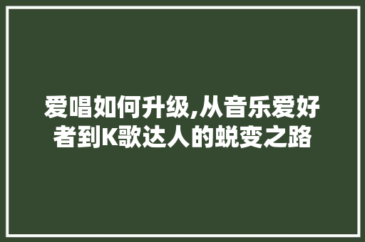 爱唱如何升级,从音乐爱好者到K歌达人的蜕变之路